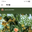 대홍농장 이미지