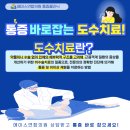 에이스연합의원 이미지