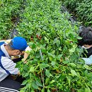 일월면사무소 이미지