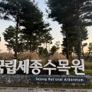 가을탐방(성인) 이미지