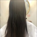 디포렛헤어 이미지