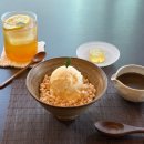 왔다 개미 | 2월 개미 일기 (인터스텔라 ost 틀어주십쇼)