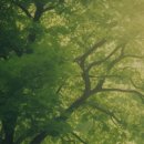 브레인웨어 이미지