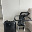 아이쉘 | 내돈내산 육아용품 :: 키머즈 트라이크 캐리어 쉘위고 5살 아이 해외 이용 후기(기내 반입 가능)