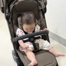 헤이즐하우스 | 휴대용 유모차@ 줄즈 에어2(JOOLZ AER2)헤이즐 브라운 컬러 구매 후기 🚙👶🏻