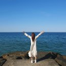 금송아지목장 이미지