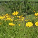 장매마을 이미지