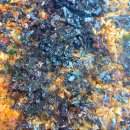 평산오리농장 이미지