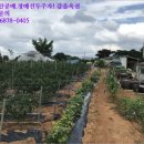 석포1리마을회관 이미지