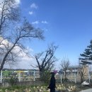 마나긔 하우스 이미지