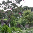 와인터널 이미지