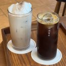 동기목장 | 제주도 목장카페 카페 말로(길갈팜랜드 먹이주기 체험 금액)