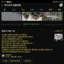 목감동물병원 이미지