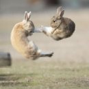 학소바위 | 나도 한 주를 그냥 무한 수정으로 이어서 적고 싶다. 아주 기발한 접근 방법인 거 같아요.