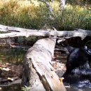 순플레이스 이미지