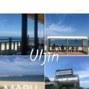 말리짬뽕 | 경북 울진 여행 르카페말리 오션뷰카페 죽변항 봉평해수욕장 소품샵