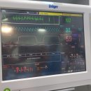 가디언 동물의료센터 이미지