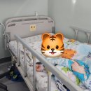 1.10 금요일 담소유 병원에서 만4세 남자아이 서혜부 탈장 수술한 따끈한 긴 후기