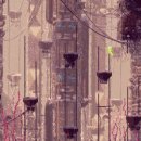 성자 농장 이미지