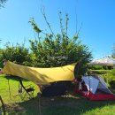 엠에스알 이미지