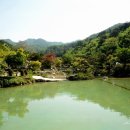심천웰빙타운심천레져리조트