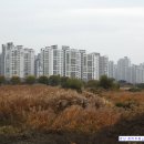 월평공원 습지길 이미지