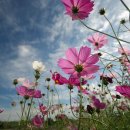 한강시민공원 이미지