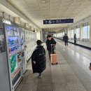 시골영양탕 | 울산카라반캠핑 아이들세상 애플망고카라반