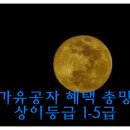 위드유 행정사 사무소 이미지