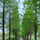 청산수목원(충남 태안군)