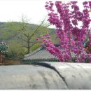천안향교 이미지