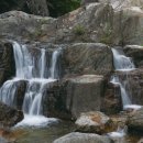 코사보성마트 이미지