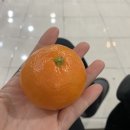 김지수산부인과의원 이미지