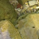 지천농장 이미지