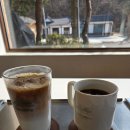 궁말11 (apmadang) | 강아지에겐 천국, 아이랑 가긴 그닥… 과천 카페 앞마당(apmadang) 후기