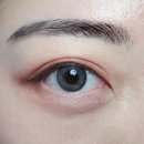 그레이박스(GRAY BOX) | 네오비젼 테디베어 오로라그레이 여쿨렌즈 추천
