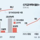 &#34;아마추어 공시&#34; 롯데손보 주가는 왜 폭락했나 [황정원의 Why Signal] 이미지