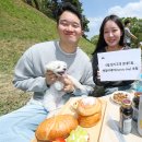 펫밀리레스토랑 이미지