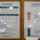 엘리자펫 이미지