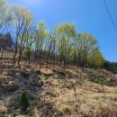 쌍백면사무소 이미지