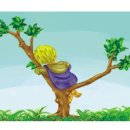 오렌지장 이미지