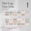 플라잉독 | 송도 요가원 소규모 그룹요가 '디르 요가' 솔직 후기