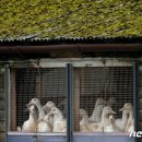 정윤미 농장 뉴스1