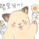 별의창
