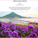 [테마2026년 10월 3일 토요일] 전남신안 1004의섬 반월도-박지도(퍼플섬)아스타국화 축제 이미지