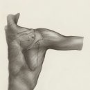 경희한나무한의원 이미지