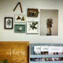 나무사이로 햇살이 이미지