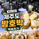 기호농장 | 새시아농장 제주도밤호박 택배후기 달콤한 제주밤호박요리 레시피3가지