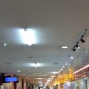 에어부산 급식소 | 패키지 코타키나발루 3박 5일 셋째날 시티투어/통캇알리커피/반딧불투어/김해공항 부산미도어묵 190827