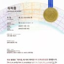 헌터독 이미지